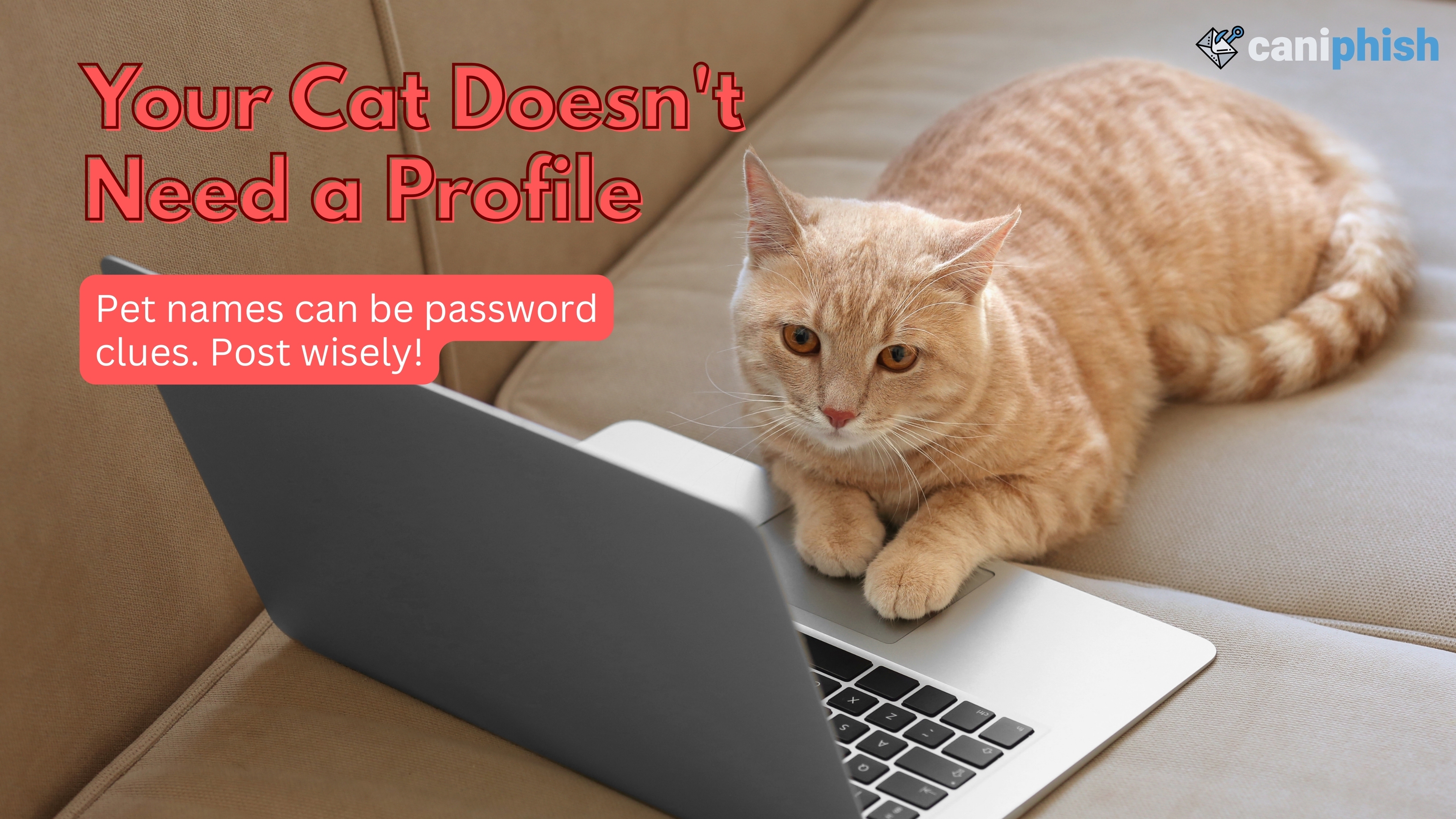 Wallpaper advising how oversharing can give out password clues.